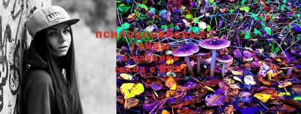 PSILOCYBIN Алзамай