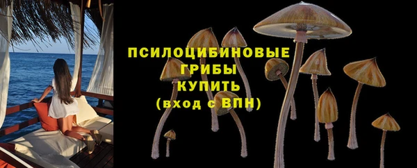 PSILOCYBIN Алзамай