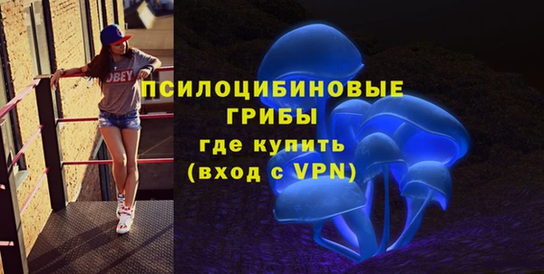PSILOCYBIN Алзамай