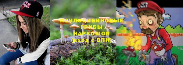 PSILOCYBIN Алзамай