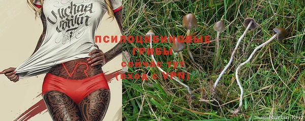 PSILOCYBIN Алзамай