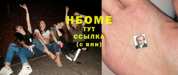 PSILOCYBIN Алзамай