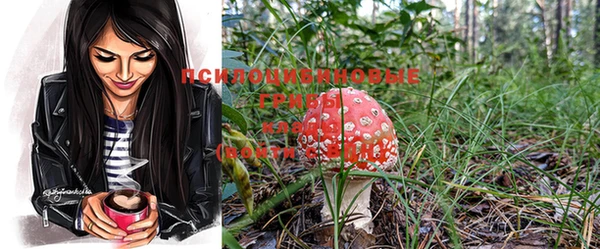 PSILOCYBIN Алзамай