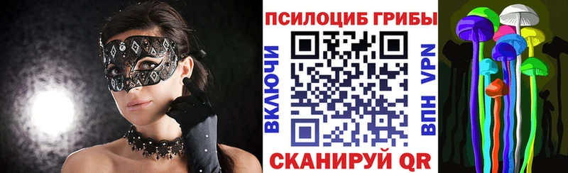 KRAKEN как зайти  Жердевка  Галлюциногенные грибы прущие грибы 